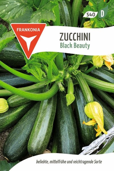 Courgette, Black Beauty - Groentezaden Courgettezaden