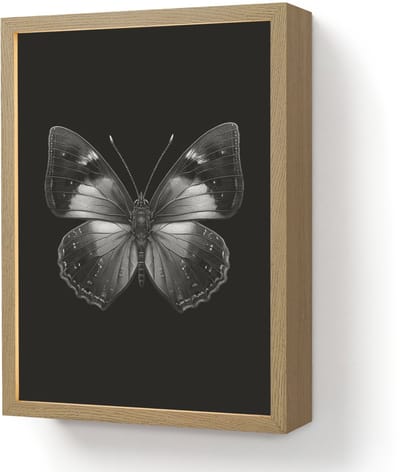 Wandlamp 30x40 cm - Oplaadbaar - Vlinder - Grijs - Mysterieus - Wandlampen binnen woonkamer - Slaapkamer lamp - Decoratieve nachtlamp - Vloerlamp draadloos