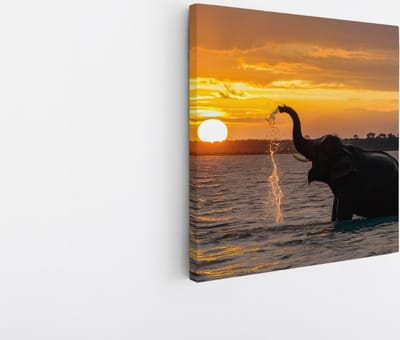 Saammp Canvas Schilderij - Spelende Olifant in het water - Dieren - 20x20 - Foto op canvas - Wanddecoratie - muurdecoratie Woonkamer - Slaapkamer decoratie - Canvas Print