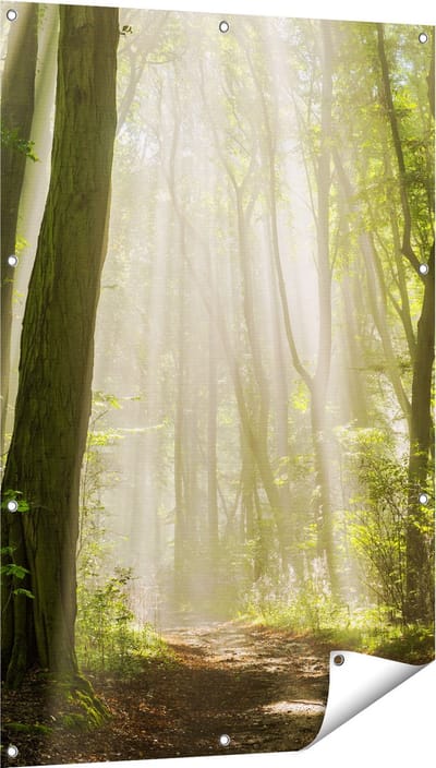 Gards Tuinposter Bos met Bomen en Zonneschijn - 80x120 cm - Tuindoek - Tuindecoratie - Wanddecoratie buiten - Tuinschilderij