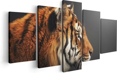 Artaza Canvas Schilderij Vijfluik Zijaanzicht Van Een Tijger - Tijgerkop - 100x50 - Foto Op Canvas - Canvas Print