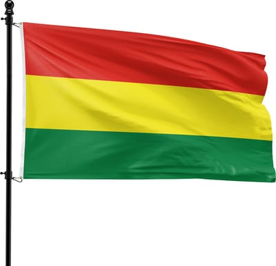 VlagDirect - Carnavalsvlag - Carnaval Vlag - 90 x 150 cm.