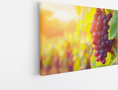 Saammp Canvas Schilderij - Druiventros in zonsondergang - Landschap - Natuur - 45x30 - Foto op canvas - Wanddecoratie - Muurdecoratie Woonkamer - Slaapkamer decoratie - Canvas Print