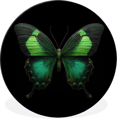 WallCircle - Wandcirkel - Muurcirkel - Vlinder - Groen - Opvallend - Aluminium - Dibond - 30x30 cm - Binnen en Buiten