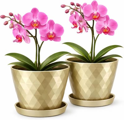 Plantenbak van kunststof decoratieve pot voor grote en kleine planten, set van 2 bloemenbakken met onderzetter, bloempot kruidenpot, goud, diameter 12 cm