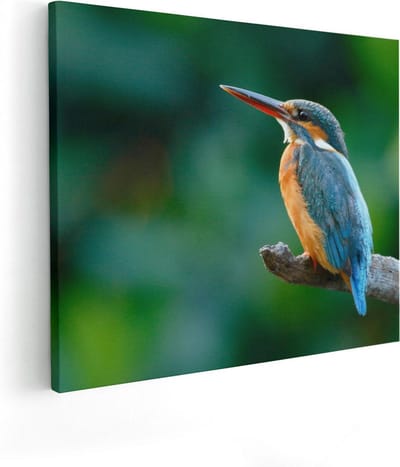 Artaza Canvas Schilderij IJsvogel - 100x80 cm - Groot - Wanddecoratie Vogels - Muurdecoratie Op Tak - Schilderijen Op Canvas