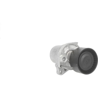Schaeffler Ina Spanarm, V-ribbelriem INA 534 0624 10