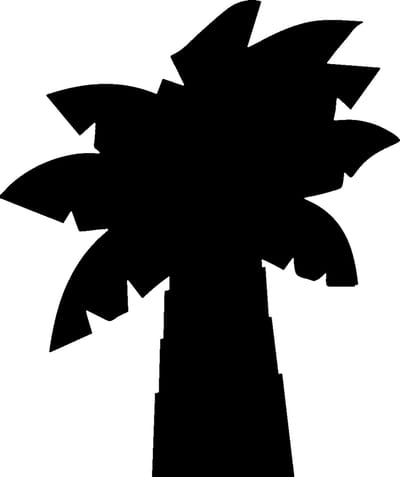 Muursticker met krijtbordmotief - uitwisbare zelfklevende muursticker - PALMBOOM + 4 VLOEIBARE KRIJTJES - 100x85cm