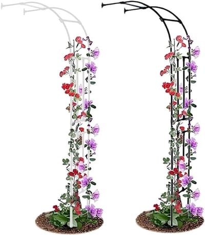 Halve Rozenboog - Tuinprieel - Klimplanten Ondersteunen - Unieke Vormgeving - B 90 x H 240 cm - Wit