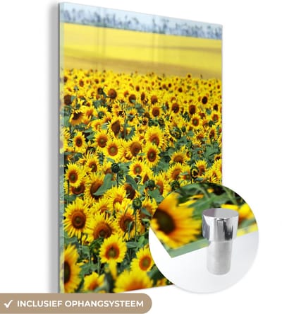 MuchoWow® Glasschilderij 30x40 cm - Schilderij acrylglas - Zonnebloem - Bloemen - Natuur - Foto op glas - Schilderijen
