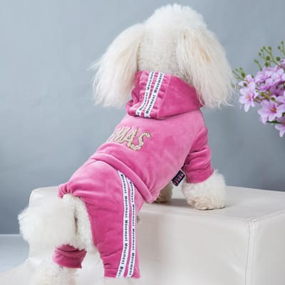 Huisdierkleding Vierpotige Mode letter Huisdier Hondenkleding voor Honden Hoodie Sweatshirt Eendelig Jumpsuit chihuahua kleding bulldog XL
