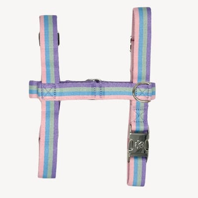 Regenboog - Tuigje / Harnas Hond - XS - Puppy tuigje - Kleine hond