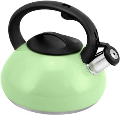 Geklokte Waterkoker - Theepot Kookpan - Water Koken - Roestvrij Staal - 2.5L - Groen