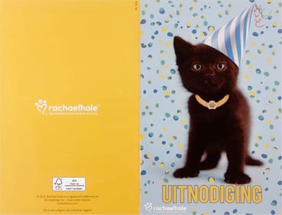 Uitnodigingskaarten - Kitten met feesthoedje - 6st.