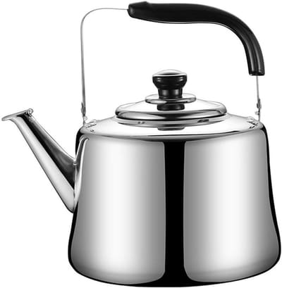 RVS Waterkoker - Thee Waterkoker Fornuis - Water Koken - Gezondheid Veilig - 3L - Geborsteld RVS