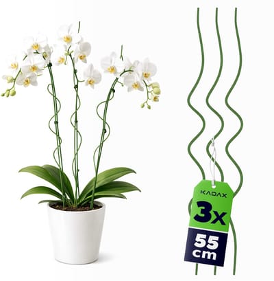 KADAX Orchideeënstokken 55 cm x 3 mm, set van 3, spiraalvormige stokken van met kunststof gecoat metaal, spiraalvormige klimhulp voor orchideeën en kamerplanten, plantenstokken