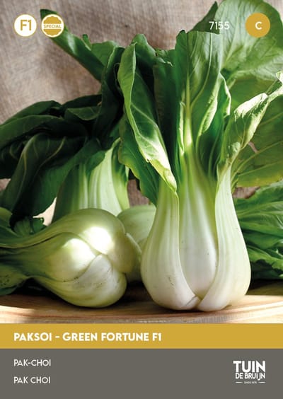 Paksoi Green Fortune F1 Zaden – Oosterse Bladgroente – Knapperige Witte Stelen – Snelgroeiend & Traagschietend – ±100 Zaden – Tuin de Bruijn