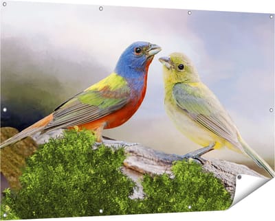 Gards Tuinposter Getekende Gorzen Vogels - Kleur - Abstract - 150x100 cm - Tuindoek - Tuindecoratie - Wanddecoratie buiten - Tuinschilderij
