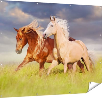 Gards Tuinposter Bruin en Wit Paard in de Wei - 150x120 cm - Tuindoek - Tuindecoratie - Wanddecoratie buiten - Tuinschilderij