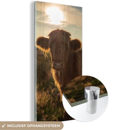 MuchoWow® Glasschilderij 20x40 cm - Schilderij acrylglas - Schotse Hooglander - Zonsondergang - Gras - Foto op glas - Schilderijen