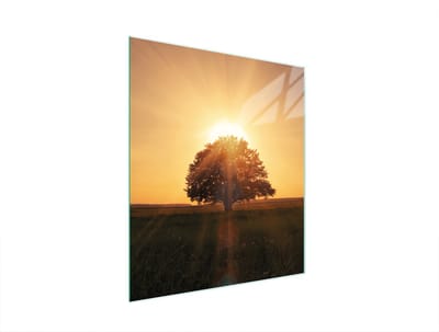 TMK ArtDeko - Snijplank - 45x52 cm - Glazen Beschermer - Drievoudig Gebruik