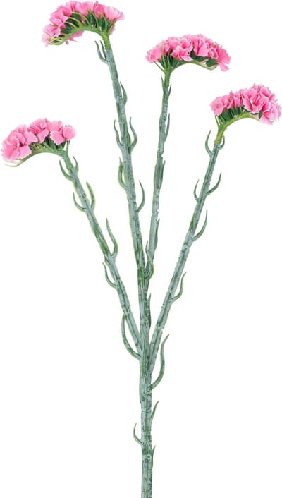 Easyplants | Kunsttak Statice 64 cm roze | Zijde | Nepbloemen | roze | Onderhoudsvrij | Kant-en-klaar