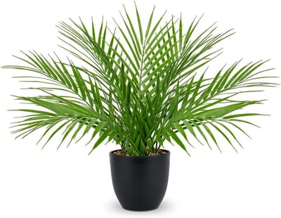 Kunstplanten voor Binnen 38 cm - Realistische Palmplanten in Zwarte Potten voor Decoratie van Huiskamer, Kantoor en Slaapkamer