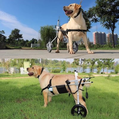 Hond Rolstoel - Hulpmiddel Achterpoten - Ondersteuning Lopen - Lichtgewicht Aluminium - Verstelbaar - Zilver