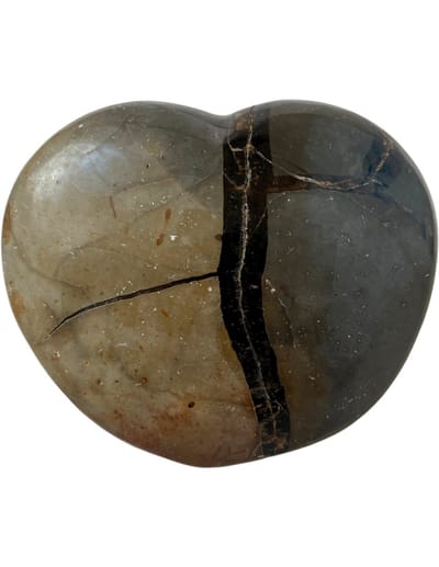 Septarie wild hart nr.04