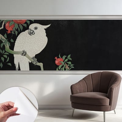 Coloray Zelfklevend Behang - Granaatappelpapegaai Stickerbehang op rol - 250x104 cm - Zwart Zelfklevend Behang - Voor de woonkamer, slaapkamer en kantoor - Peel-and-stick techniek - Zelfklevend fotobehang