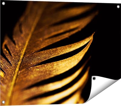 Gards Tuinposter Gouden Veer - 80x60 cm - Tuindoek - Tuindecoratie - Wanddecoratie buiten - Tuinschilderij