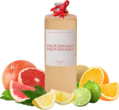 Wasparfum Pioggia 400ml citrus - Profumiamo Italia