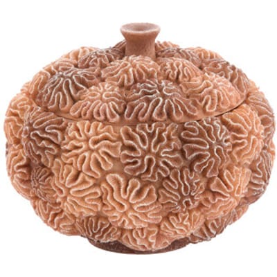 Light & Living - Deco box+deksel CORAL - Ø20x15.5cm - Bruin