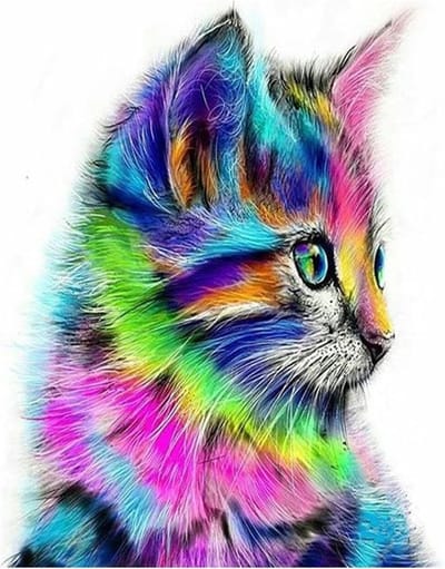 Paint By Numbers Kleurvolle Kat - Schilderen op Nummer - 50x40cm - Stipco -Volwassenen