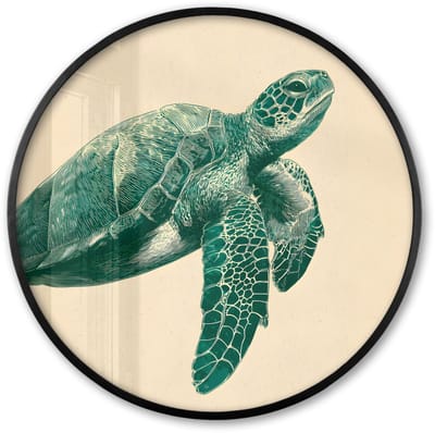 Poster in lijst Rond - Fotolijst 60x60 cm - Posters - Schildpad - Sierlijk - Groen - Schild - Ronde posterlijst zwart - Decoratie - Wanddecoratie woonkamer - Muurdecoratie slaapkamer