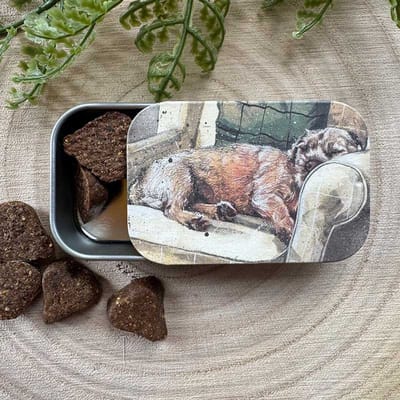 Alex Clark Sliding little Tin Walter ~ Langwerpig klein opbergblikje Hond