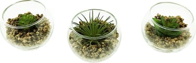 Ecolife Decoratieve Kunstplanten in Glazen Bol H5cm x B6.5cm - 3 Stuks