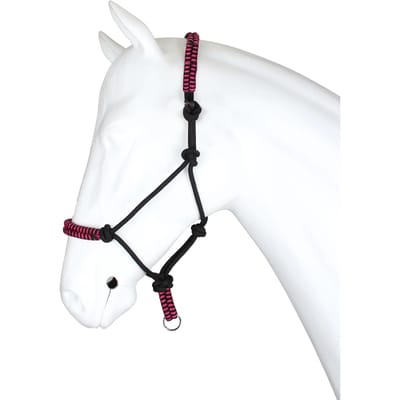 Knoophalster maat pony met touw 2m roze musketon haak