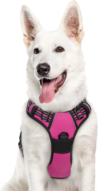 Hondentuig No Pull, Hondenharnas voor Grote Honden, Verstelbare Harnas Hond met Reflecterend Strepen, Gewatteerd Zacht Ademend, Hondentuigje Anti-trek voor Wandelen Training, Fuchsiaroze XL