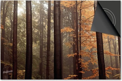 Inductie beschermer 60x60 - afdekplaat inductie mat - Dietrix Kookplaat beschermer - Exclusief - Herfst - Lange bomen