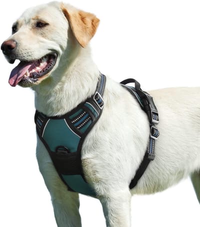 Hondentuig No Pull, Hondenharnas voor Grote Honden, Verstelbare Harnas Hond met Reflecterend Strepen, Gewatteerd Zacht Ademend, Hondentuigje Anti-trek voor Wandelen Training, Donkergroen L
