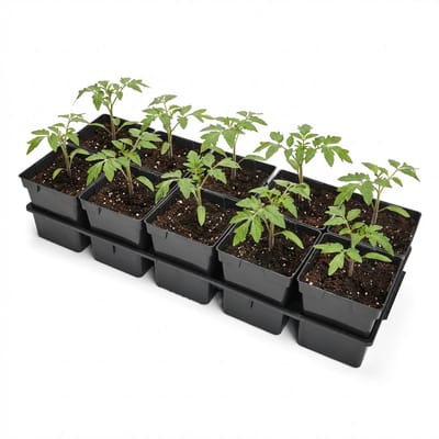 Garronda Kweektray met 10 x 1 L potten GD-KW-T