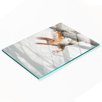 Decoratieve glazen snijplank met eekhoornafbeelding, 80x52 cm