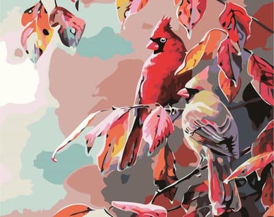 Schilderen op nummer PBN-5478 - Vogels - Kardinaal - PROMOTIE 1 x schilderen op nummer cadeau naar onze keuze