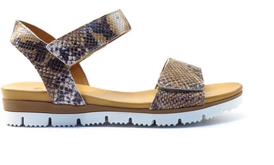 Aqa Shoes Bruin print open A8900 SNACOG Bruin