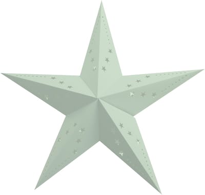 PARTYPRO - Muntgroene sterrenlampion 30 cm van papier