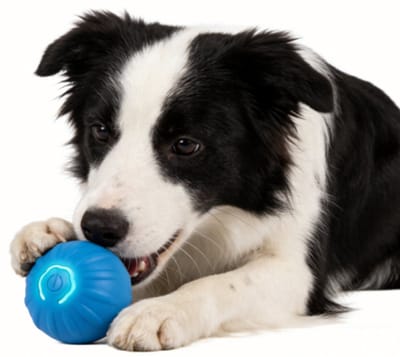 ECTEATOY® Interactieve Vibrerende Bal met LED Verlichting - USB Oplaadbaar Hondenspeelgoed voor Kleine en Grote Honden - Blauw