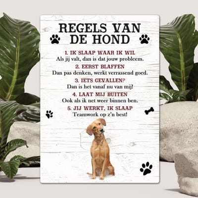 Spreuken - labrador blond - Regels Van De Hond - Spreuken Bordjes - Spreukenbord - Tekstborden - Cadeau - Hondenras