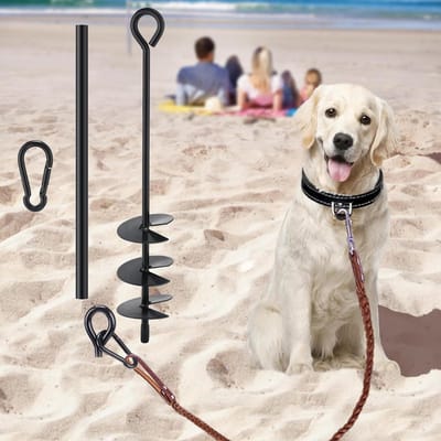 Honden Anker - Grondpen - Veilig Buiten - Dubbele Helix - 38 cm Lengte - Zwart