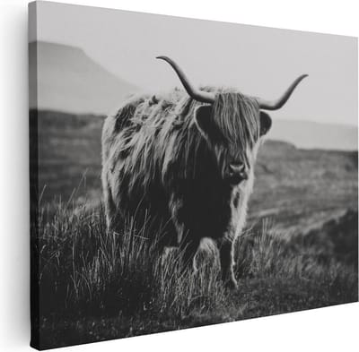 Artaza Canvas Schilderij Hooglander - 40x30 cm - Klein - Muurdecoratie Dierenkop - Wanddecoratie Woonkamer - Kamer Accessoires